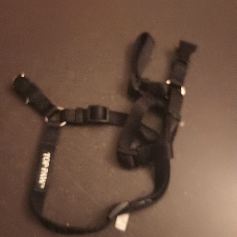 Harnesses - Picture 13 of 16